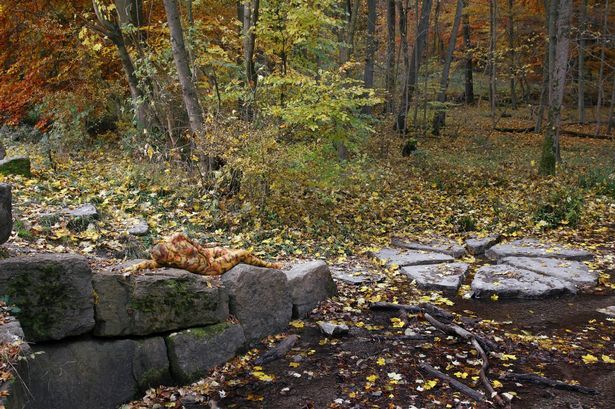 Girl in camouflage naked