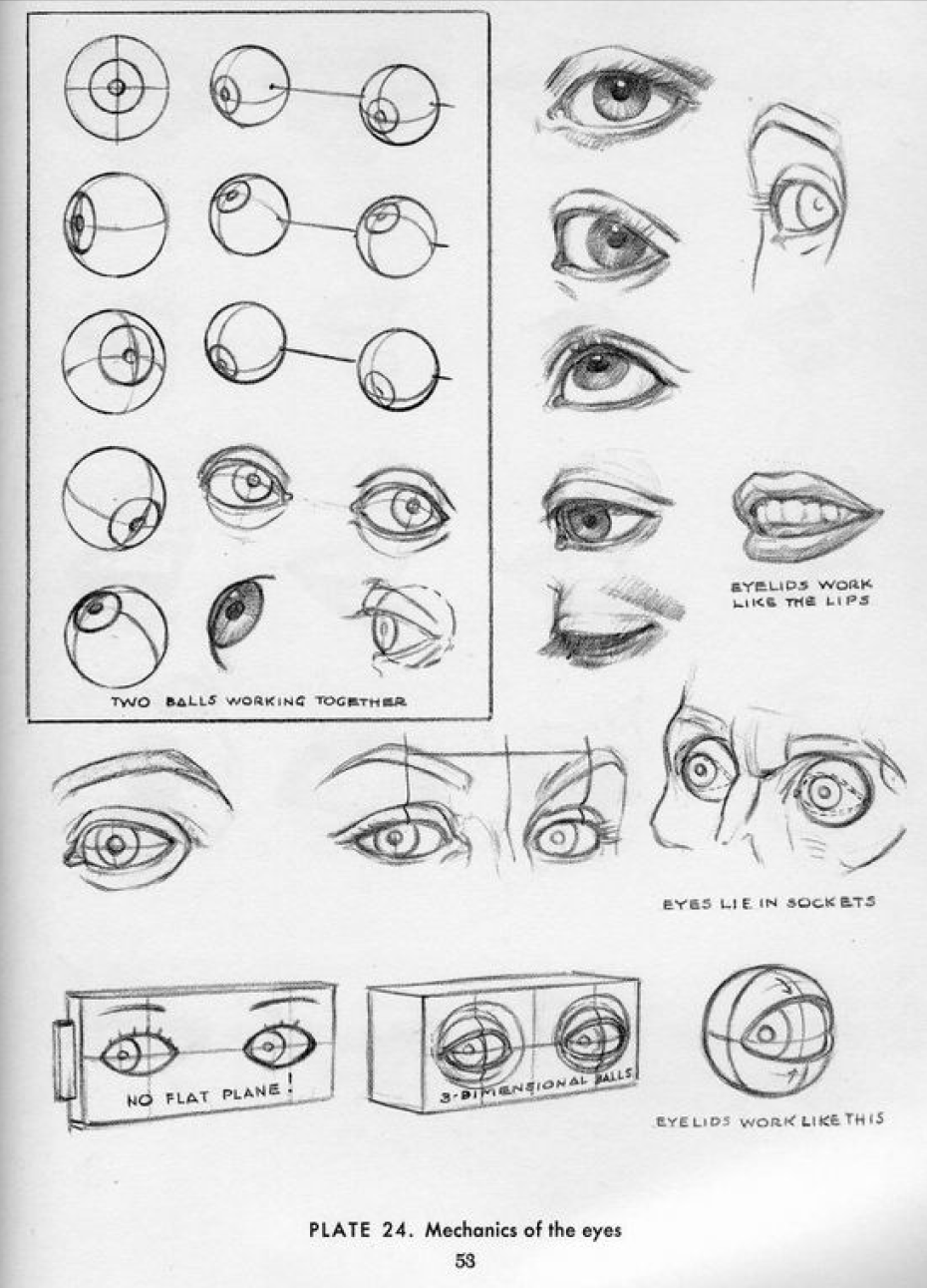 Instructions for drawing each facial feature