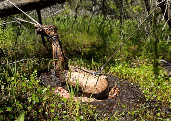 X-Ray reccomend Bondage in the mud