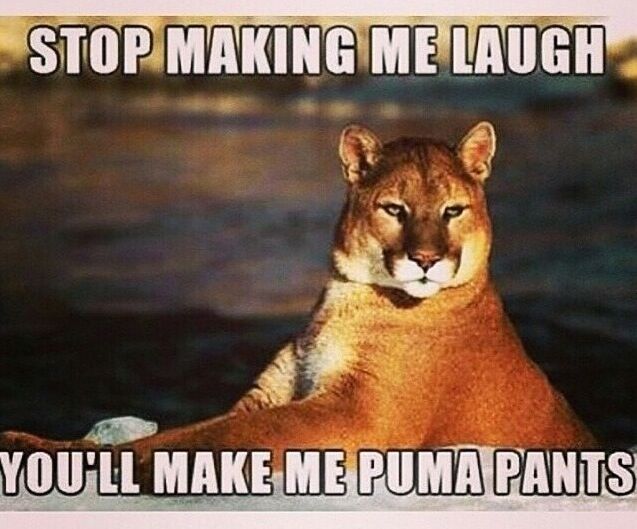 best of Pants joke Puma