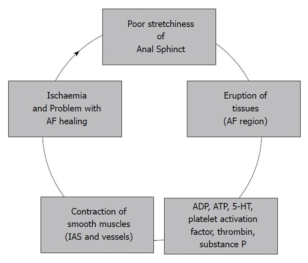 Anal fissure and platelets