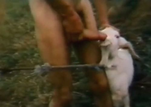 Hot teen fucks a sheep