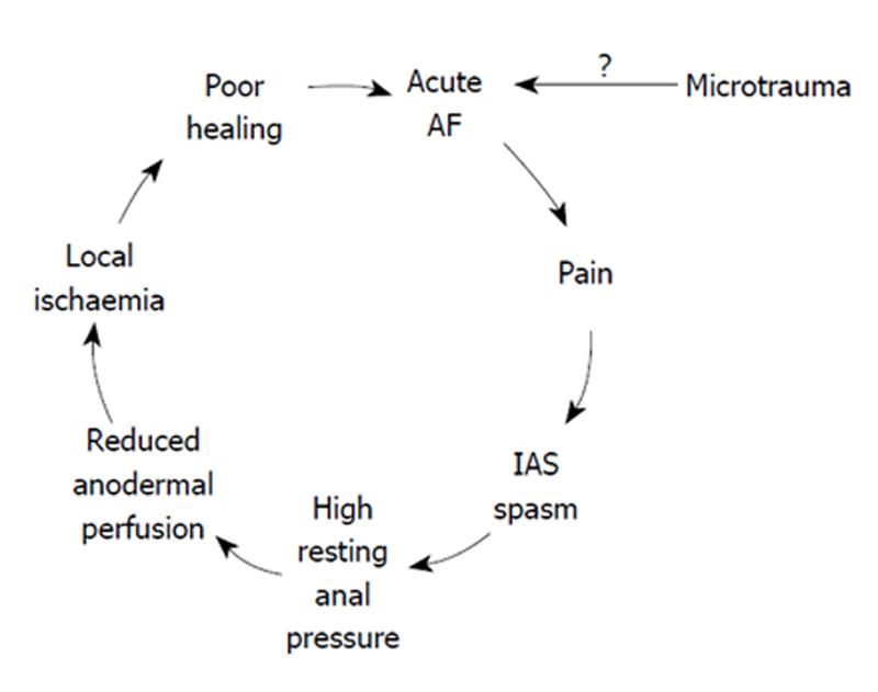 best of Fissure platelets Anal and