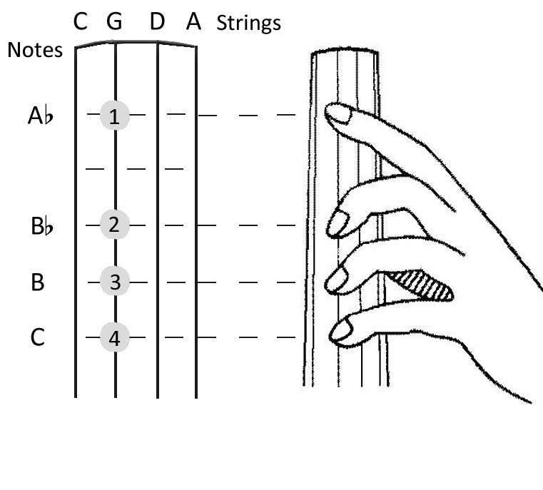 Cello position thumb