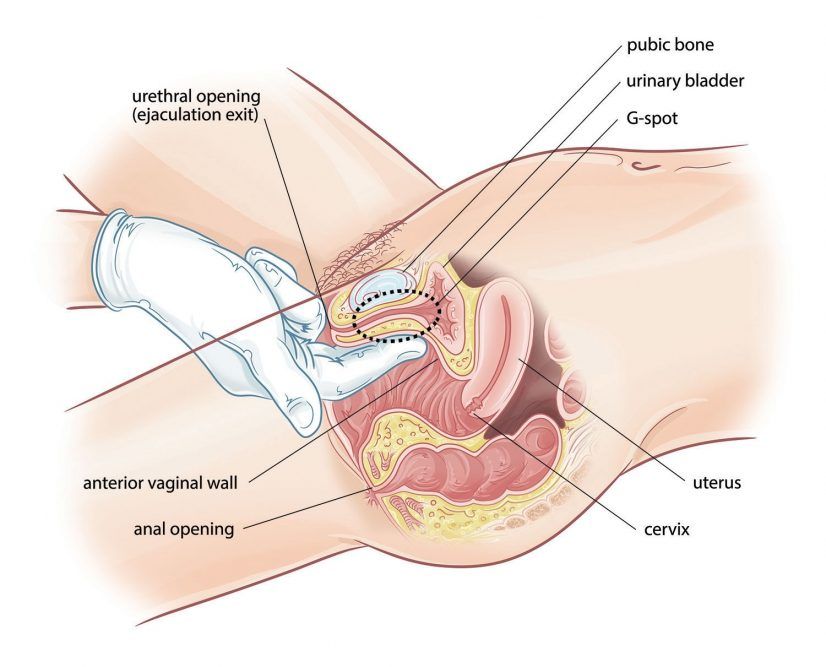 Uncle reccomend Female masturbation finding g-spot