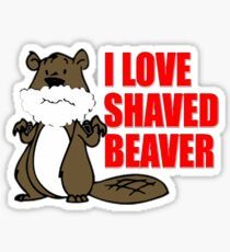 best of Contest shaved Beaver