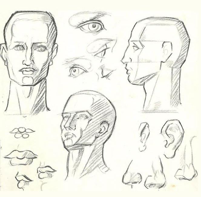 Superwoman reccomend Instructions for drawing each facial feature