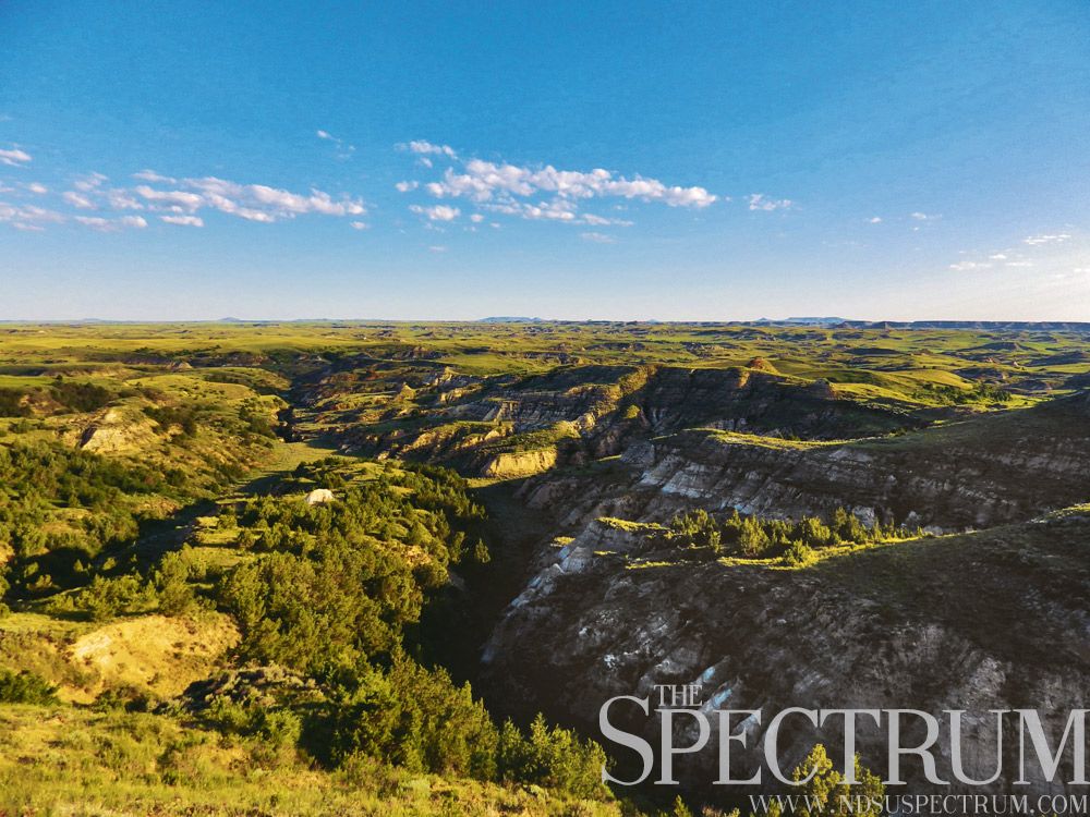 Detector reccomend North dakota rattlesnake dick story